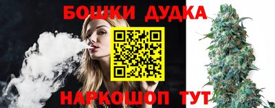 стаф Новозыбков