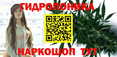 стаф Новозыбков
