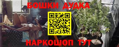 стаф Новозыбков